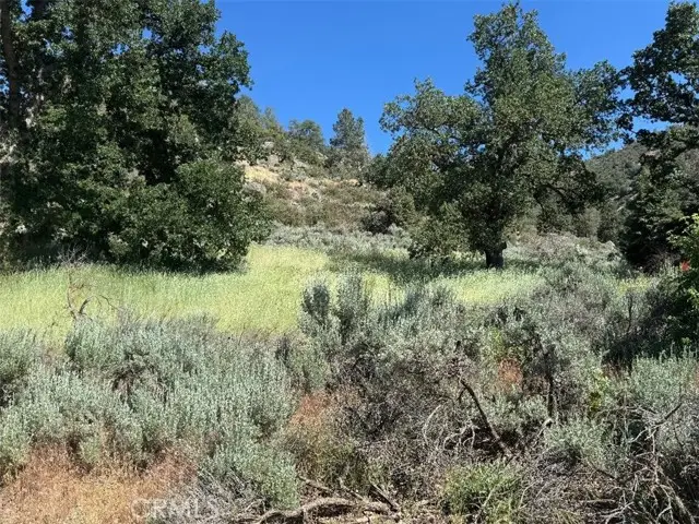 0 Butterfield Way, Tehachapi, CA 93561 - #2