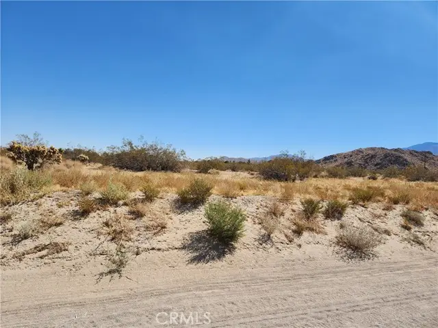 #3