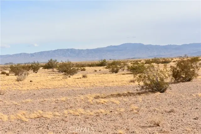 0 Buckthorne Caynon Rd, Adelanto, CA 92301 - #3