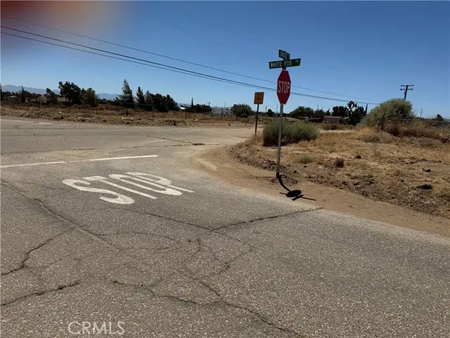 9875 Braceo Street, Hesperia, CA 92344 - #1