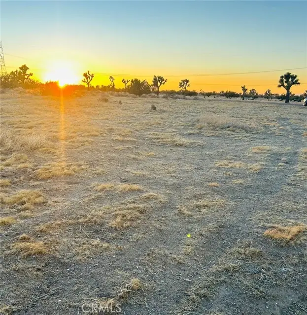 4 Two Mile Road, Joshua Tree, CA 92252 - #1