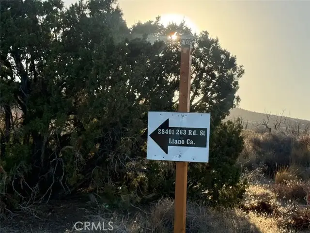 28401 263rd E, Llano, CA 93544 - #3