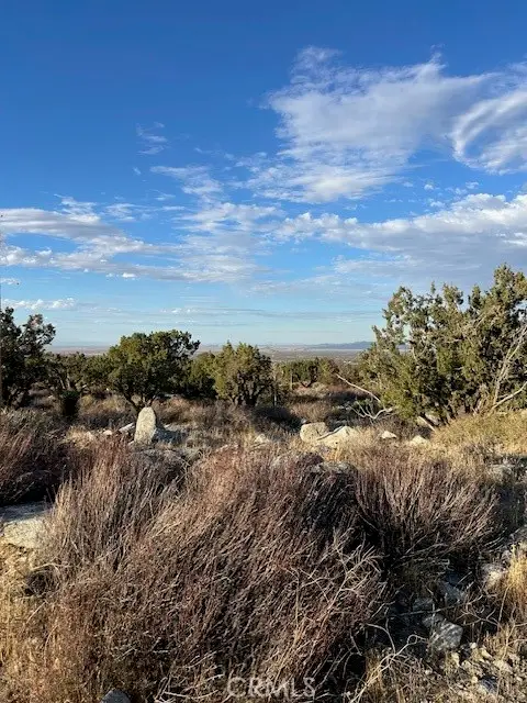 0 Yucca, Pinon Hills, CA 92372 - #3