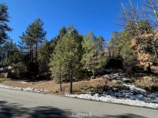 0 Flume Canyon, Wrightwood, CA 92397 - #2