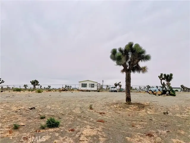 12452 Golden View, Pinon Hills, CA 92372 - #1