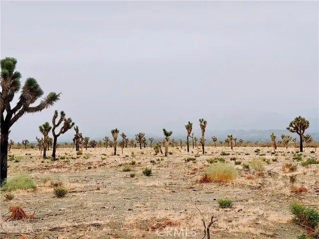 12452 Golden View, Pinon Hills, CA 92372 - #2