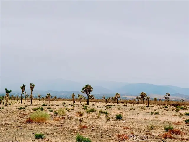 12452 Golden View, Pinon Hills, CA 92372 - #3