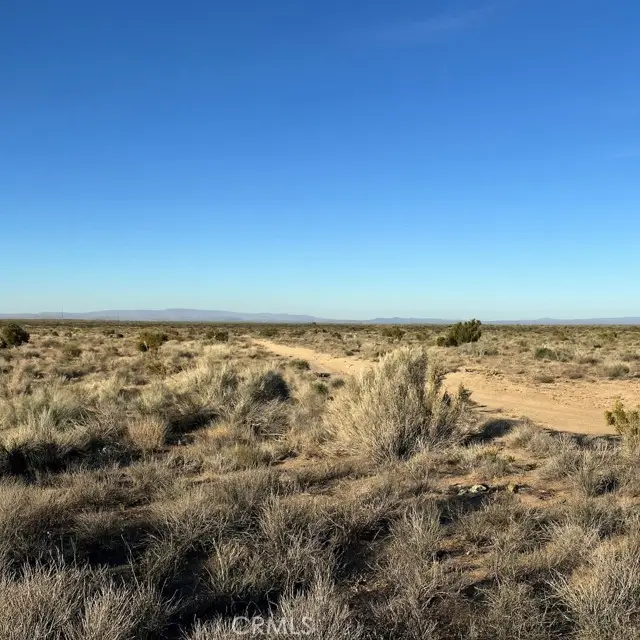 0 Centola, Phelan, CA 92371 - Image #2