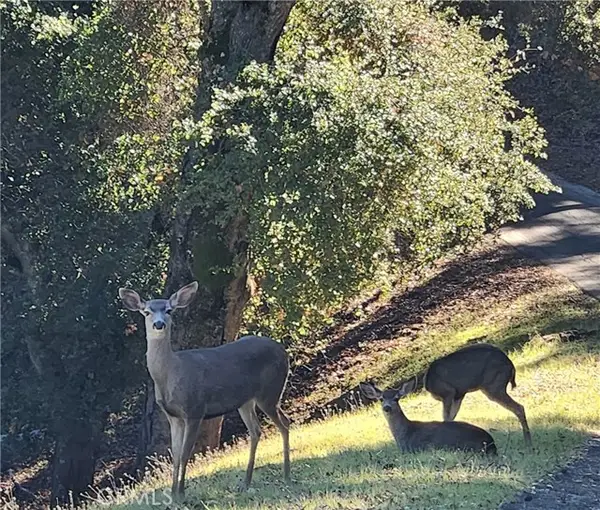 2155 San Fernando, Atascadero, CA 93422