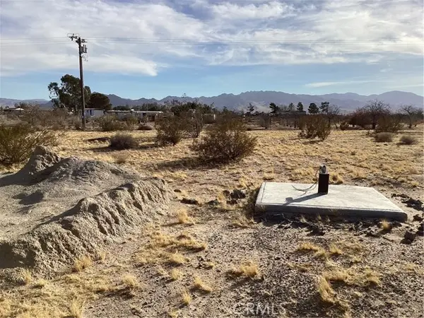 42979 Mandril, Newberry Springs, CA 92365