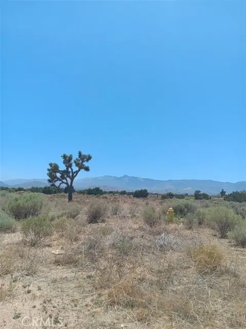 0 yucca Terrace Road, Phelan, CA 92371