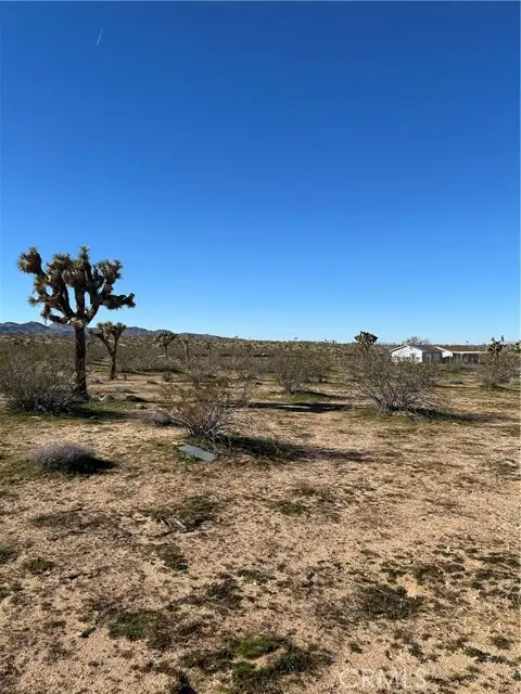 326 Surrey, Landers, CA 92285 - #2