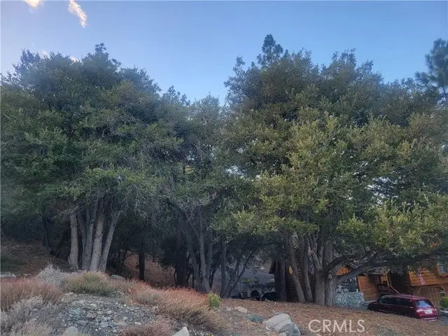 0 Desert View, Wrightwood, CA 92397 - #2