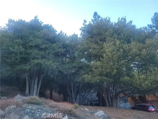 0 Desert View, Wrightwood, CA 92397 - #3