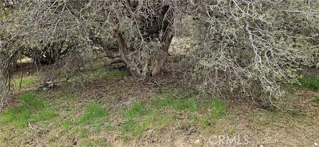 8243 Simson Rd, Pinon Hills, CA 92372 - #2