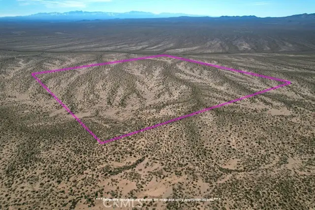 160 Near Buckthorn Canyon Road, Helendale, CA 92342 - #3