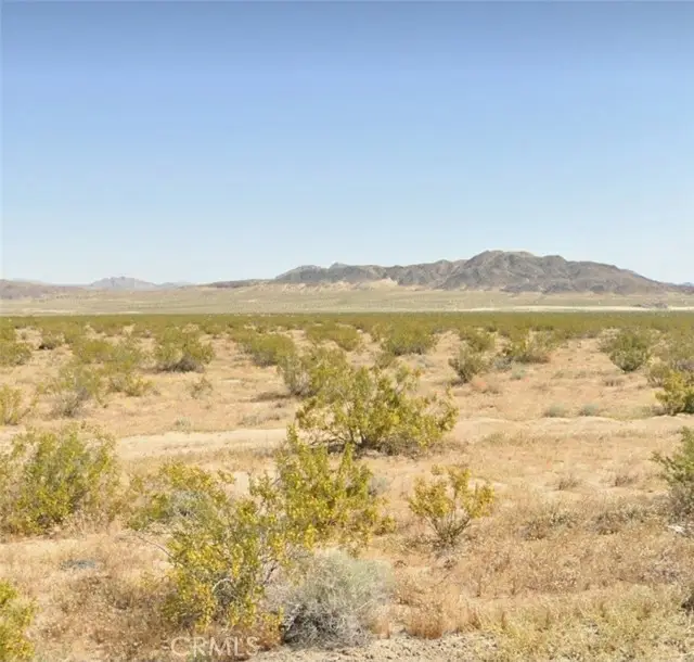 800 Firethorn Way (NEAR), Landers, CA 92285 - #1