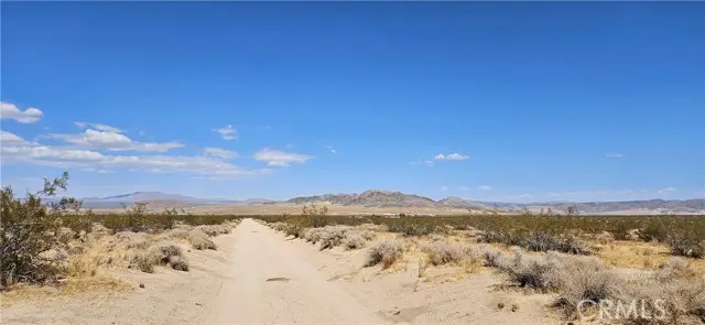 800 Firethorn Way (NEAR), Landers, CA 92285 - #2