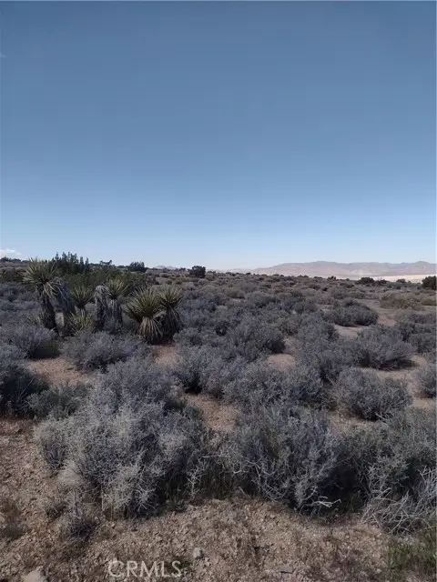 20 Mesa, Lucerne Valley, CA 92356 - #3
