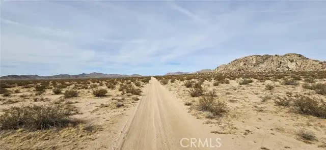 800 Jones Rd. (NEAR), Lucerne Valley, CA 92356 - #3