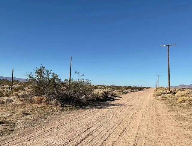 35337 Raigosa Drive, Newberry Springs, CA 92365 - #1