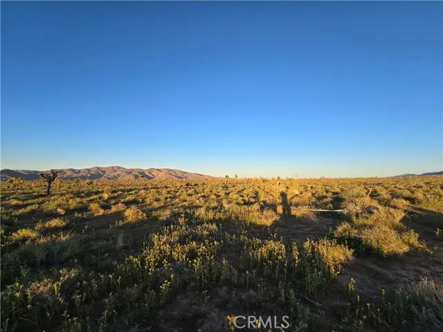 54 Japatul Road, Apple Valley, CA 92308 - #3