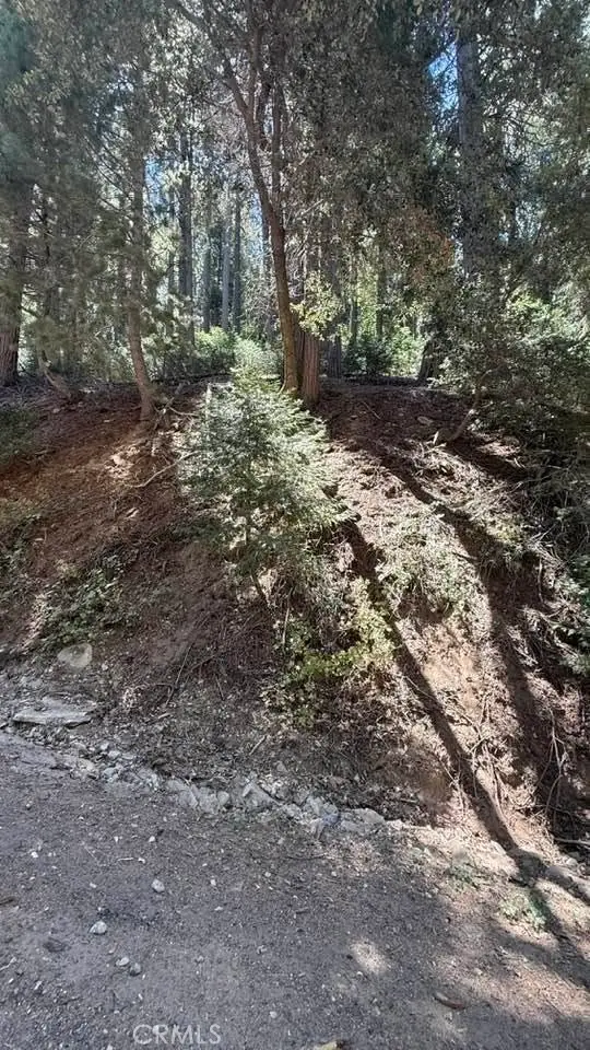 34207243 Mojave River Rd., Cedarpines Park, CA 92322 - #1