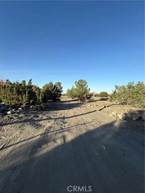 3038 White Fox Trail, Phelan, CA 92371