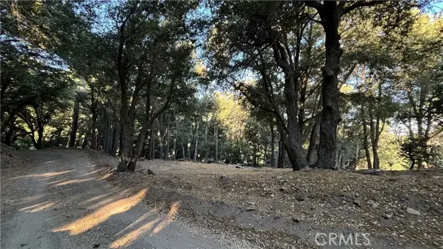 722 Mojave River Road, Cedarpines Park, CA 92322 - #1