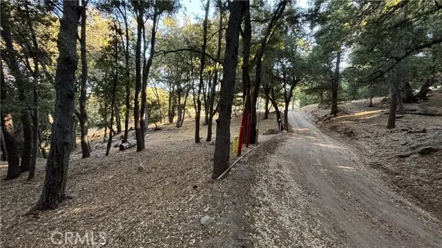 722 Mojave River Road, Cedarpines Park, CA 92322 - #3