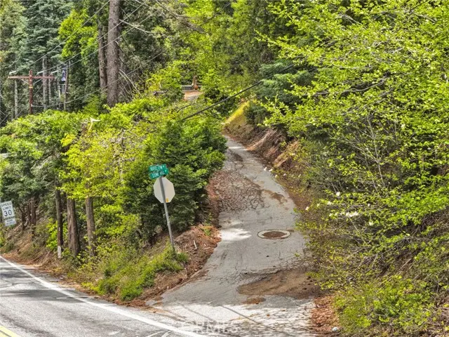 1 Skyforest, Skyforest, CA 92385 - #2