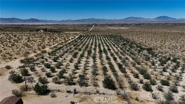 735 Midway Avenue, Lucerne Valley, CA 92356 - #3