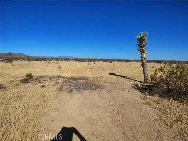 408 Stable, Landers, CA 92285 - #2