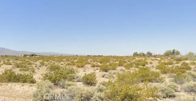 46248 Toy Truck Road, Newberry Springs, CA 92365 - #2