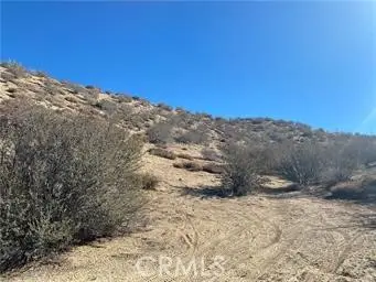 0 Dry Creek Road, Pinon Hills, CA 92372 - #3