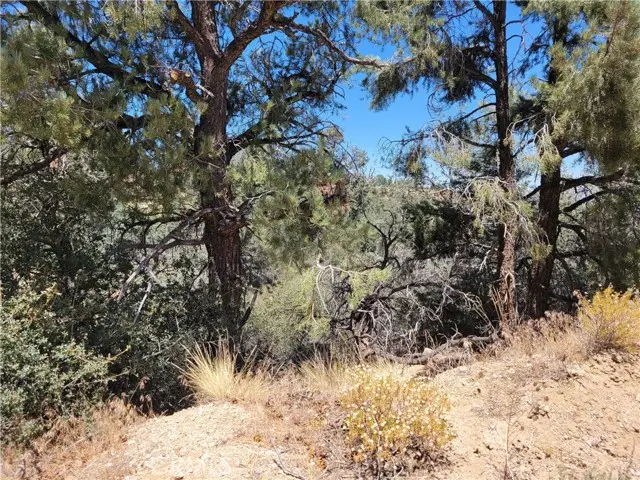 0 Old Oak Springs Valley Road, Wrightwood, CA 92397 - #1