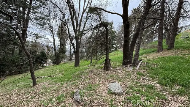 757 Scenic View Drive, Crestline, CA 92325 - #1