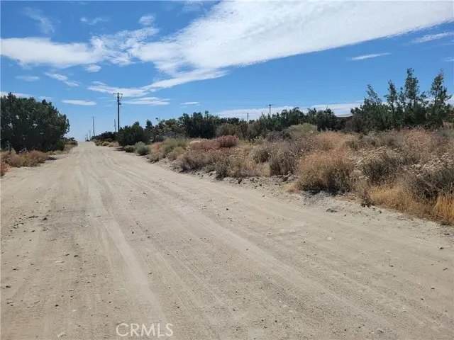 0 Tamarack, Pinon Hills, CA 92372 - #3
