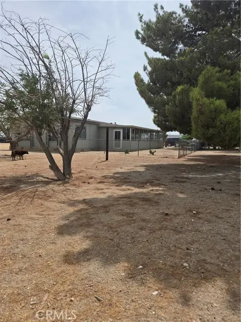 11131 Sycamore Street, Pinon Hills, CA 92372 - #2