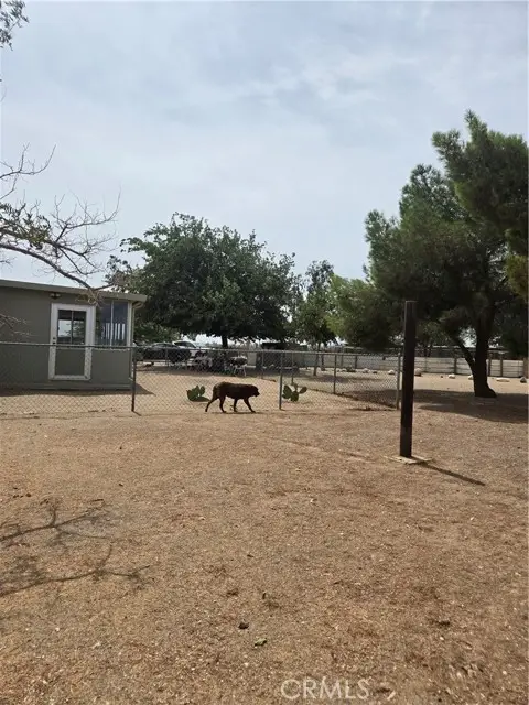 11131 Sycamore Street, Pinon Hills, CA 92372 - #3