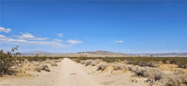 800 Firethorn Way (NEAR), Landers, CA 92285 - #2