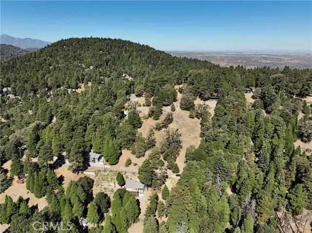 783 Tower Heights Road, Cedarpines Park, CA 92322 - #2