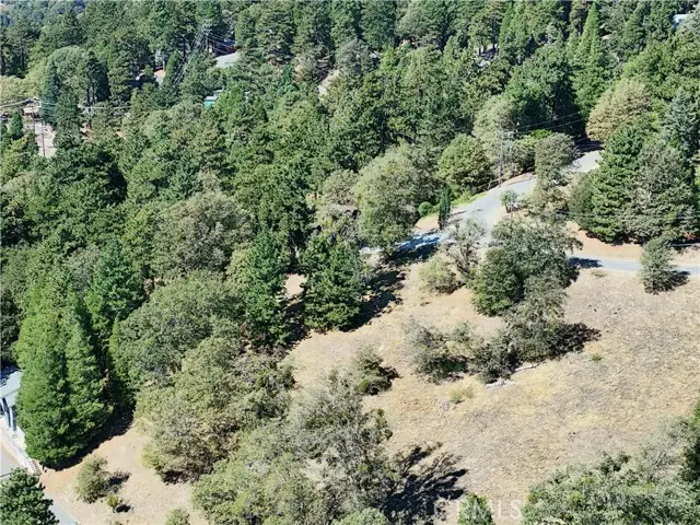 783 Tower Heights Road, Cedarpines Park, CA 92322 - #3