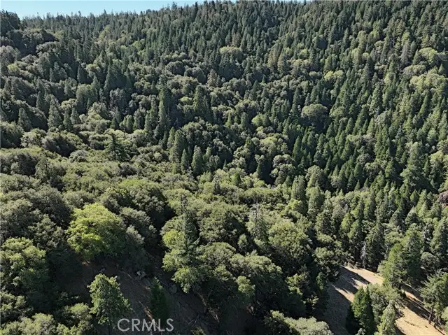 756 Mojave River (NEAR) Road, Cedarpines Park, CA 92322 - #3