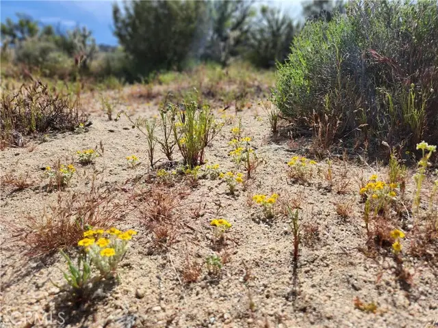 1 Sun Terrace, Mountain Center, CA 92561 - #3