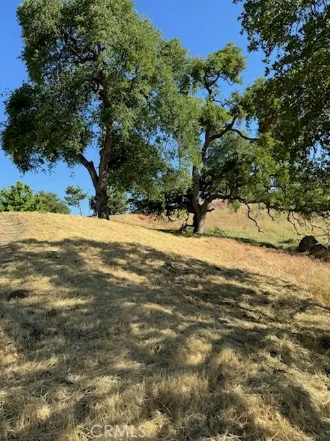 #2