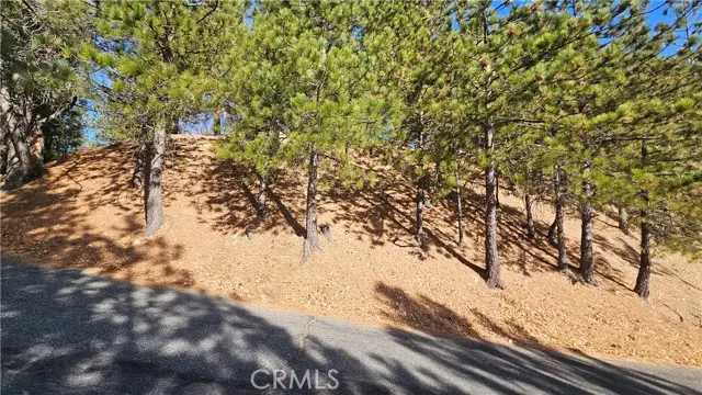 30061 Pixie Drive, Running Springs, CA 92382 - #3