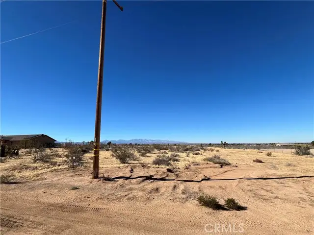 #3