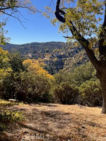 0 Grass Valley Road, Lake Arrowhead, CA 92352 - #1