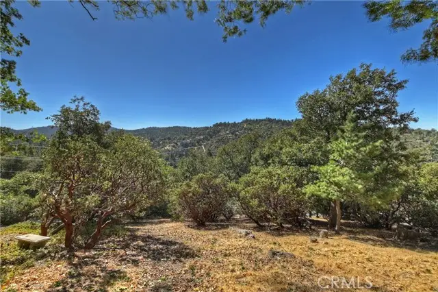 0 Grass Valley Road, Lake Arrowhead, CA 92352 - #2